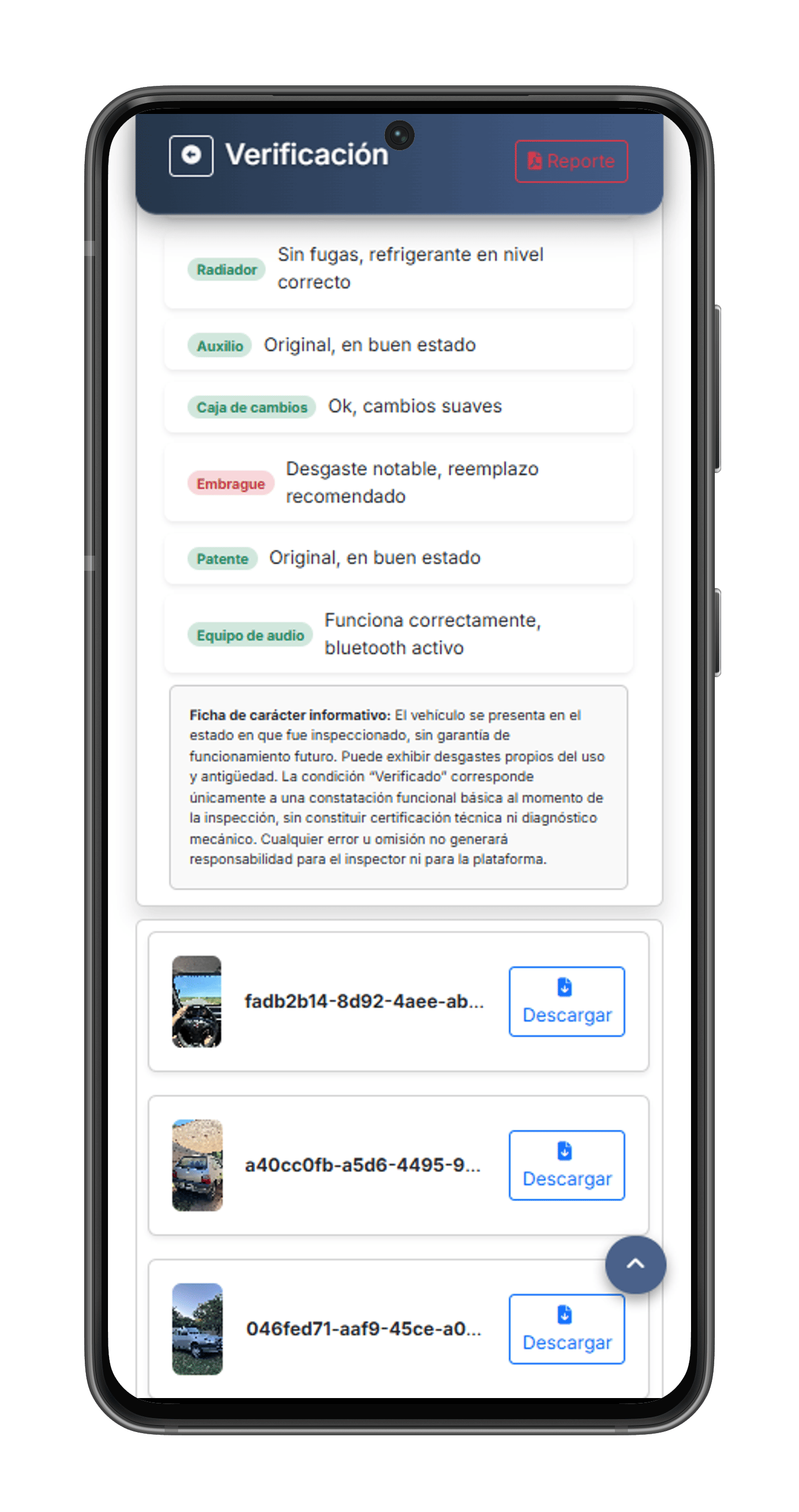 Detalle del reporte de inspección vehicular